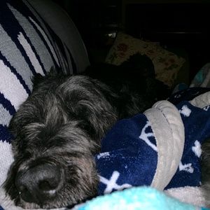 Meet your Posher, Douglas